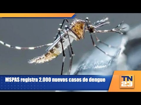 MSPAS registra 2.000 nuevos casos de dengue