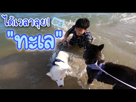 EP.71-ได้เวลาลงน้ำทะเลกันแล้ว! EP.71-ได้เวลาลงน้ำทะเลกันแล้ว!