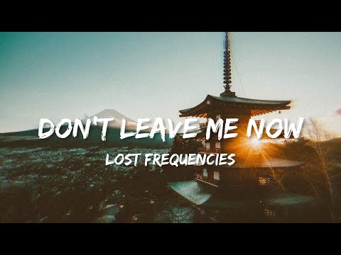 Lost Frequencies - Don’t Leave Me Now (lyrics)