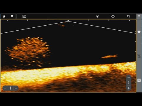 Snoekaanval in Actie! | Humminbird MEGA Live 2 toont jacht door aasvisbal