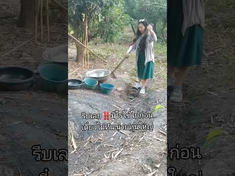 Rose Thiyada อนุญาตให้ประชาชนขุดลอกคูคลองได้ขุดลอกคูคลองคูคลองfarmlife