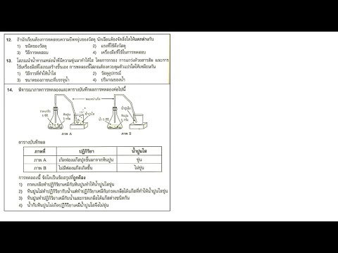 วิทยาศาสตร์ป.6-2567-แนวข้อสอ