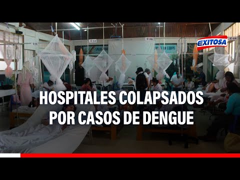 Ica: Hospitales colapsan por casos de dengue