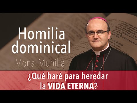 ¿Qué haré para heredar la VIDA ETERNA? / Homilía 13.10.2024 / Domingo 28 del Tiempo Ordinario