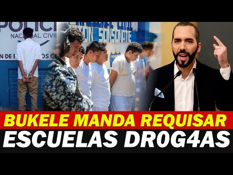 QUE OPINAS?  BUKELE MANDA A LIMPIAR DE DR0G4AS LAS ESCUELAS DE EL SALVADOR !