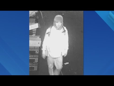 Thieves take $80K in jewelry from Chinatown store: NYPD