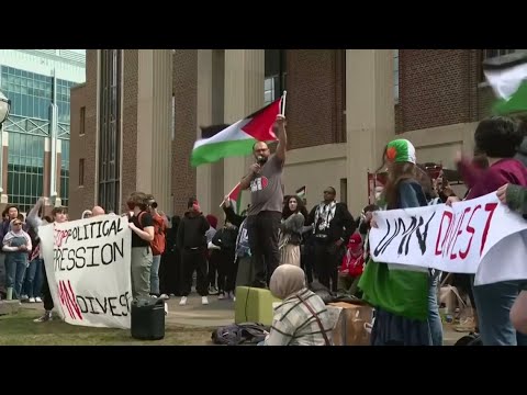 Dozens of pro-Palestinian protesters arrested demanding Texas colleges to divest from Israel