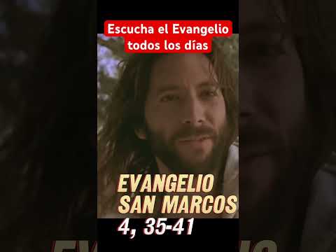 Por qué tienes tanto miedo? Aún no tienes fe, dice Jesús en el Evangelio de hoy