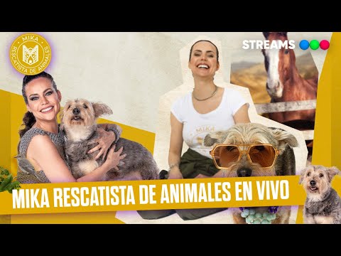 MIKA RESCATISTA DE ANIMALES