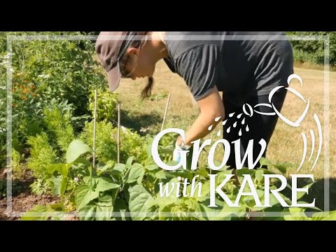 Grow with KARE | Minimizing weeds in your garden