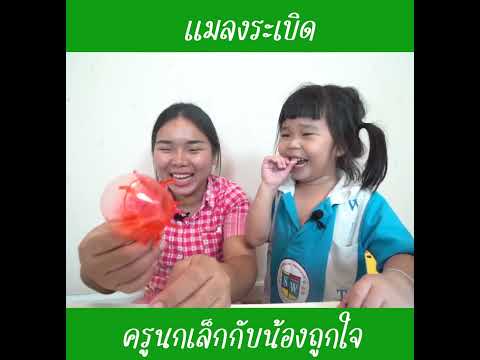 แมลงระเบิด|น้องถูกใจ