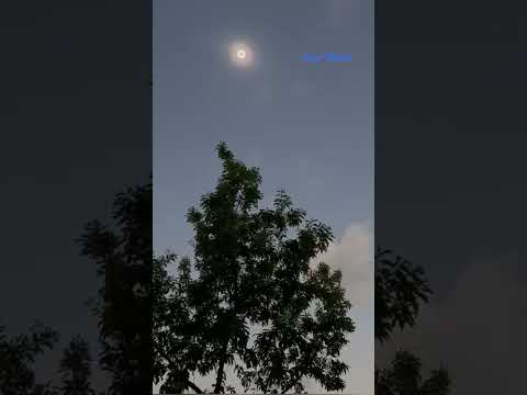 Así se vió el eclipse solar en Texas #eclispe