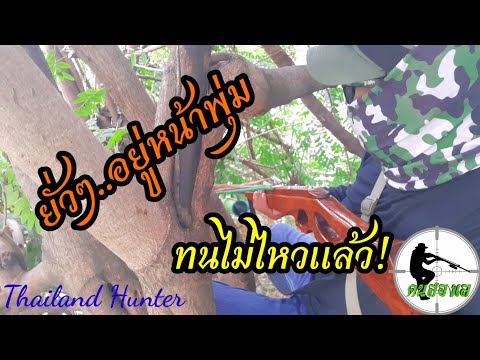 SHOOT-FISH-ยิงปลากำลังมัน-พัง! SHOOT-FISH-ยิงปลากำลังมัน-พัง!