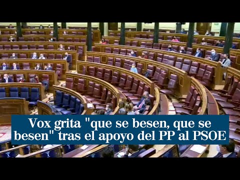 Vox grita que se besen, que se besen tras el apoyo del PP al nuevo Consejo de RTVE