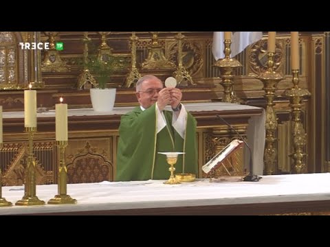 Santa Misa de hoy, martes de la 21ª semana de Tiempo Ordinario, San Luis de Francia, 25-8-2020