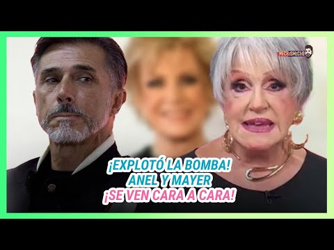 Anel explota con la prensa al preguntarle sobre Sergio Mayer | MICHISMESITO