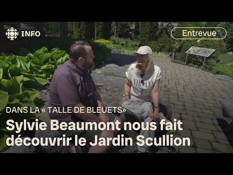 La « talle de bleuets » de Sylvie Beaumont