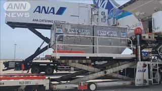 ANA、国内線航空貨物料金を大幅値下げへ