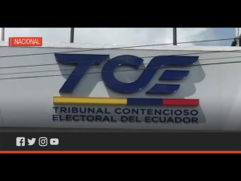 TCE revierte la suspensión de cuatro movimientos políticos