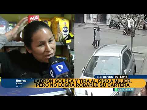 Los Olivos: Mujer se resiste a robo de su cartera y es golpeaba salvajemente
