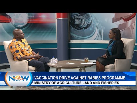 Vaccination Drive Against Rabies Programme