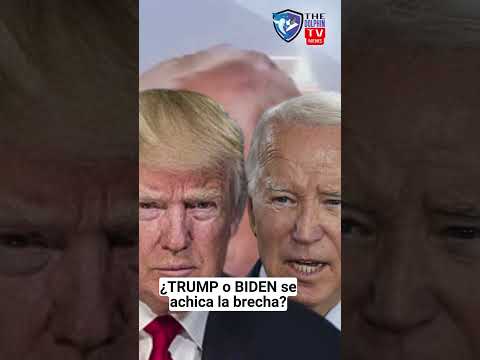 Elecciones 2024 Trump o Biden?  #TheDolphinTVNews