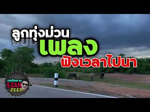 ลูกทุ่งเก่า-ม่วนๆ-ฟังเวลาไปนา ลูกทุ่งเก่า-ม่วนๆ-ฟังเวลาไปนา