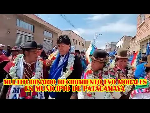 ASI BAILO EVO MORALES EN MUNICIPIO DE  PATACAMAYA JUNTO AL PUEBLO ...