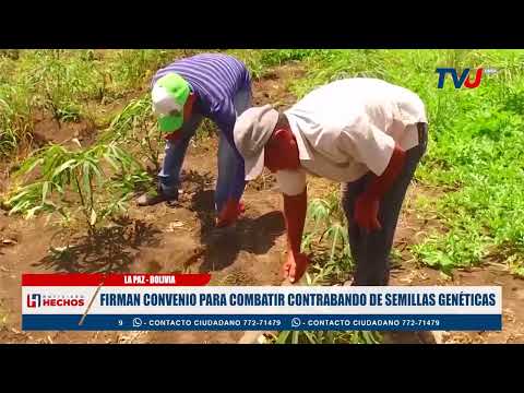 FIRMAN CONVENIO PARA COMBATIR CONTRABANDO DE SEMILLAS GENÉTICAS