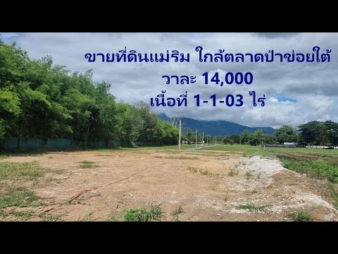 AA0218ขายที่ดินแม่ริมใกล้ตลา