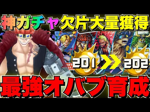 【神ガシャ】最強サポートキャラブースト3にして暴れてきた⁉️🤣✨【バウンティラッシュ】