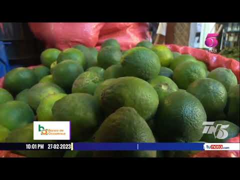 El precio de los limones se dispara sin precedentes en mercados de Tegucigalpa