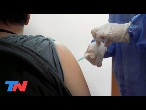 Vacuna vegetal: cómo es el ensayo que se hace en el Hospital Militar y los voluntarios