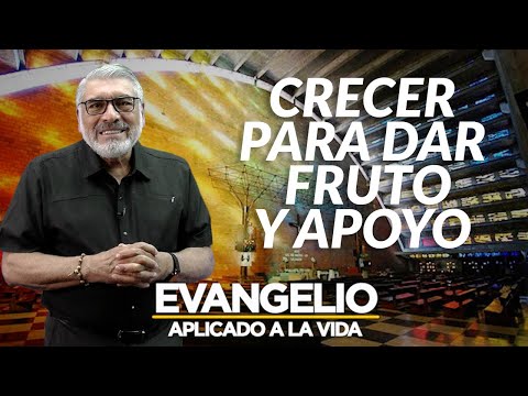 CRECER PARA DAR FRUTO Y APOYO | Evangelio Aplicado (SAN MARCOS 4, 26-34) - SALVADOR GOMEZ