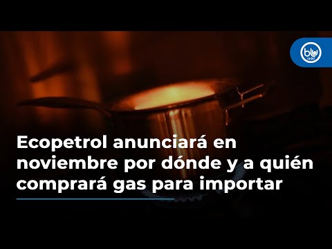 Ecopetrol anunciará en noviembre por dónde y a quién comprará gas para importar