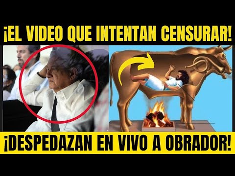 ¡YA ES VIRAL! PONEN de RODILLAS al PEJE; PSICÓLOGO hace BRUTAL ANÁLISIS de OBRADOR.