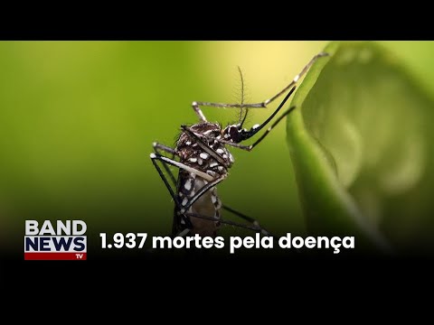 Brasil ultrapassa 4 milhões de casos de dengue | BandNews TV