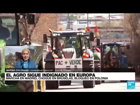 Informe desde Madrid: sector de la pesca se une a las protestas de los agricultores • FRANCE 24