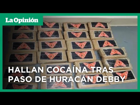 Huracán Debby toca tierra en Florida: 4 muertos, inundaciones y apagones | La Opinión