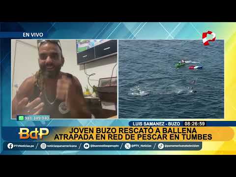 Habla uno de los buzos que rescató a ballena atrapada en red de pescar en Tumbes