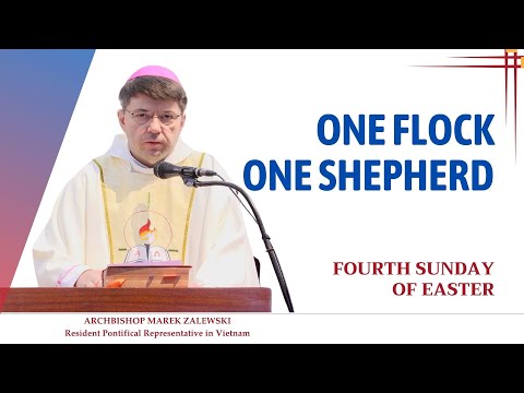 "One flock, one shepherd" - Abp. Marek Zalewski, Fourth Sunday of Easter | April 21, 2024