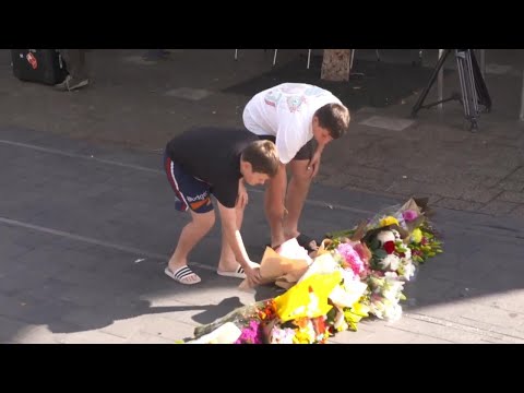 Floral tributes and reactions to stabbings in Sydney