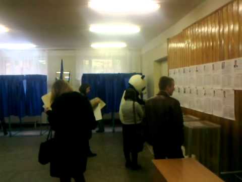 В Киеве на выборах голосовала панда (ВИДЕО)