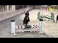 Show jumping horse 7j merrie - M eventing, 1.10m springen
