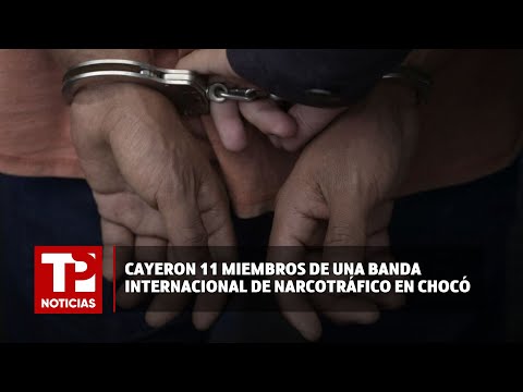 Cayeron 11 miembros de una banda internacional de narcotráfico en Chocó I11.02.2024I TP Noticias