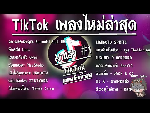 รวมเพลงฮิตในTikTokล่าสุดรวมเพ