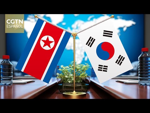 RPDC califica la República de Corea de enemigo principal y pide reforzar su autodefensa