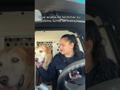 Así ha sido la emotiva despedida de este perro tras nueve años en la policía mexicana