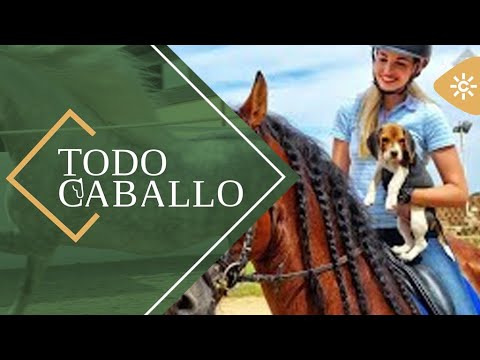 TodoCaballo | La incansable búsqueda del jinete Ángel Peralta de su perro whisky