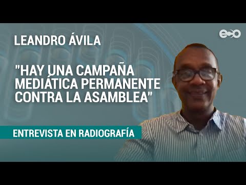 Diputado Ávila pide que se revise con la misma lupa del legislativo al Ejecutivo | RadioGrafía